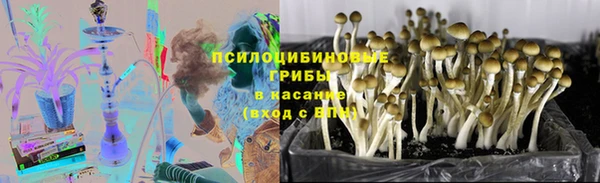 jwh Арсеньев