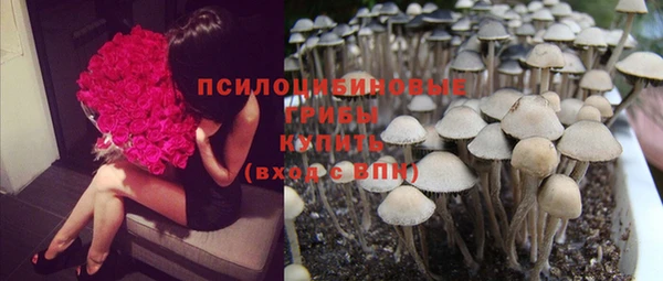 jwh Арсеньев