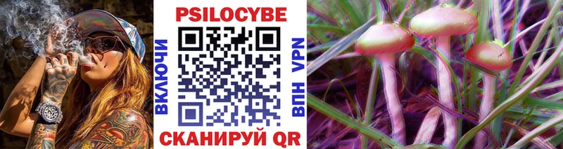 Купить где  Струнино  Галлюциногенные грибы Psilocybine cubensis 